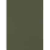 Trueliving_Centuryply_OLIVE GREEN__Design Code: 3271 SIZE:2440 MM X 1220 MM  THICKNESS: 1 MM